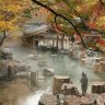tai_phan